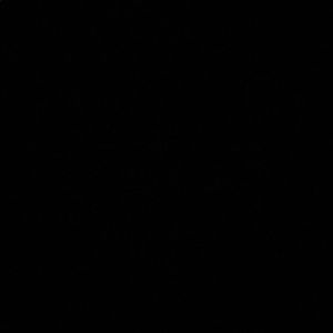 Meet your Posher, Nevaeh